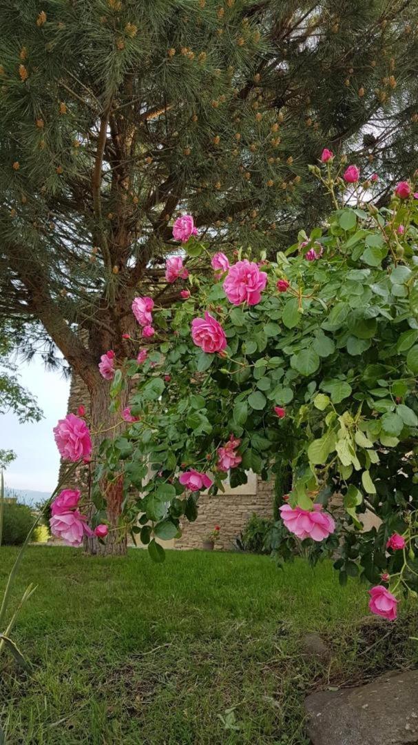 مبيت وإفطار Saint-Joseph  Relais De Navon المظهر الخارجي الصورة